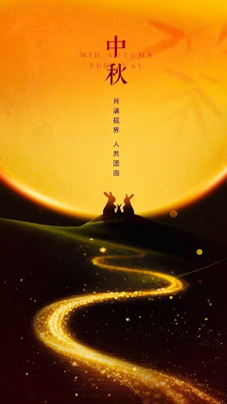 媒体预览